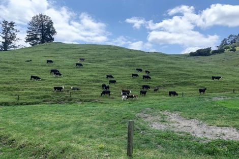 Photo of property in 8268 Paeroa Kopu Road, Hikutaia, Paeroa, 3674