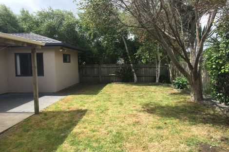 Photo of property in 49 Solomon Street, Brookfield, Tauranga, 3110