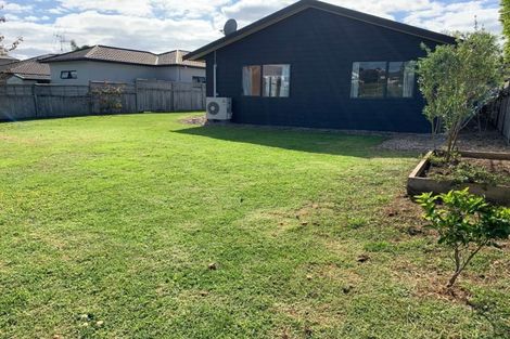 Photo of property in 81 Solomon Street, Brookfield, Tauranga, 3110