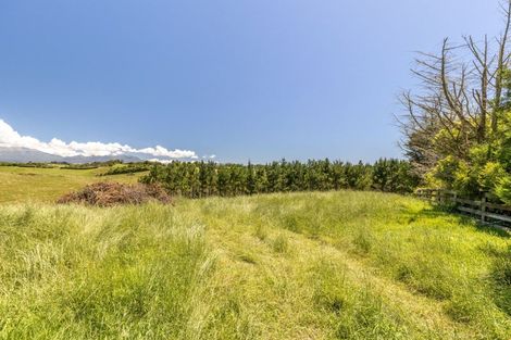 Photo of property in 150 Ackworth Road, Lepperton, New Plymouth, 4373