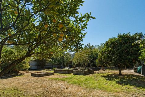 Photo of property in 189 Redwood Street, Witherlea, Blenheim, 7201