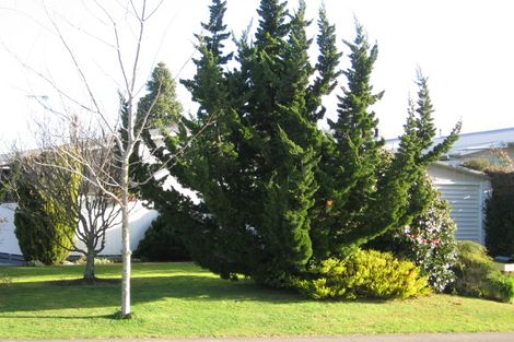 Photo of property in 183a Newcastle Road, Nawton, Hamilton, 3200