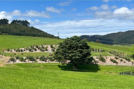 Photo of property in 95 Dennis Road, Kaipara Flats, Warkworth, 0981