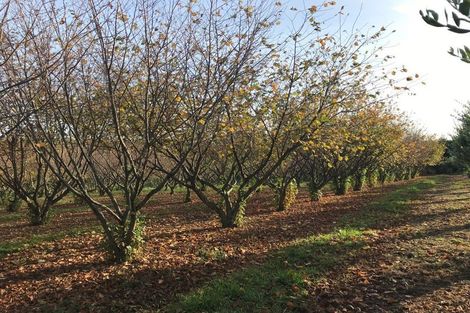 Photo of property in 466 Jeffersons Line, Marton, 4788