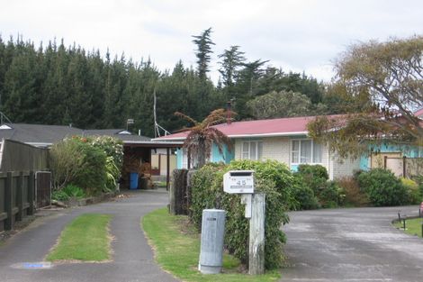 Photo of property in 45 Herrington Street, Foxton, 4814