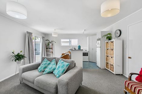 Photo of property in 16 Bass Road, Mount Wellington, Auckland, 1060