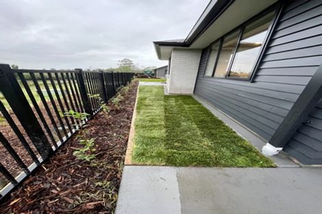 Photo of property in 69 Heartwood Avenue, Omokoroa, 3114