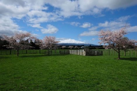 Photo of property in 45 Tawhero Road, Ohakune, 4625