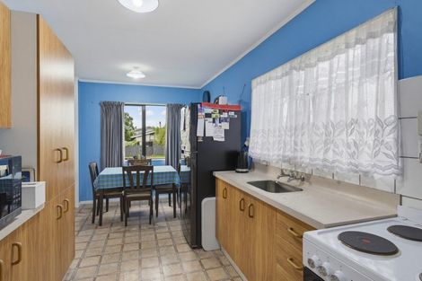 Photo of property in 13 Douglas Street, Levin, 5510
