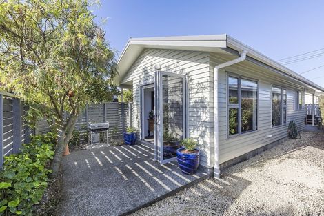 Photo of property in 13a Wayside, Miramar, Wellington, 6022