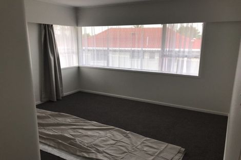 Photo of property in 165 Elliot Street, Pahurehure, Papakura, 2113