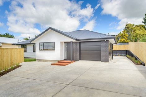 Photo of property in 154a Lethbridge Street, Feilding, 4702