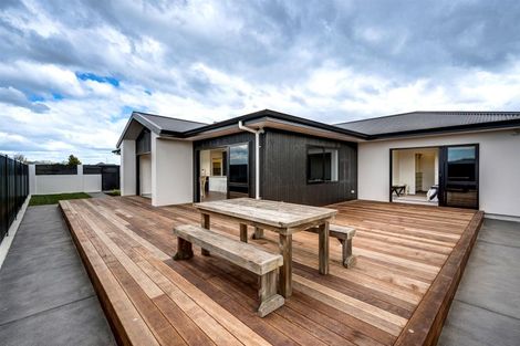 Photo of property in 15 Arihi Crescent, Frimley, Hastings, 4120