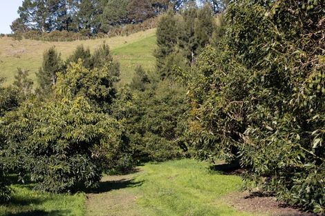 Photo of property in 231 Walford Road, Aongatete, Katikati, 3181