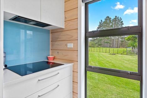 Photo of property in 842 South Head Road, South Head, Helensville, 0874