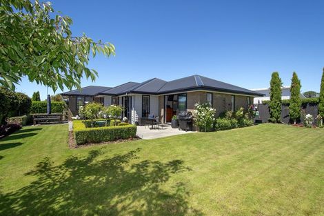 Photo of property in 29 Whakatipu Street, Pegasus, 7612