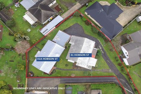 Photo of property in 31 Hobson Street, Maeroa, Hamilton, 3200