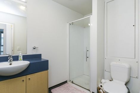 Photo of property in Hanson House, 3b/27 Hanson Street, Mount Cook, Wellington, 6021