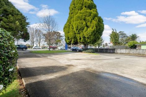 Photo of property in 172 Lincoln Road, Henderson, Auckland, 0610