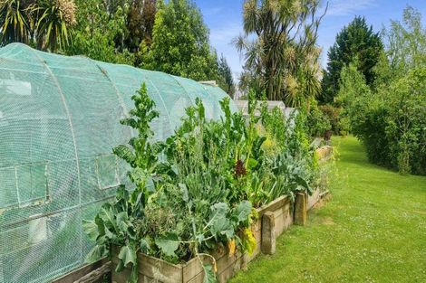 Photo of property in 25 Waitere Street, Marton, 4710