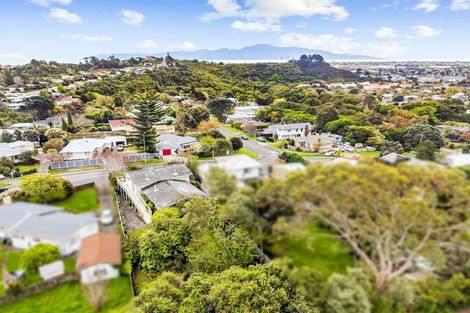 Photo of property in 131-133 Ruapehu Street, Paraparaumu, 5032