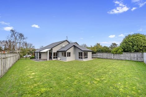 Photo of property in 11 Meridian Place, Flagstaff, Hamilton, 3210