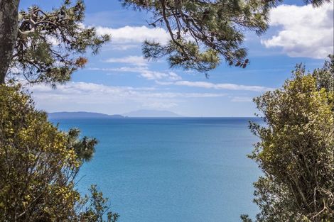 Photo of property in 14 Monyash Road, Manly, Whangaparaoa, 0930