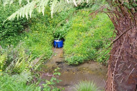 Photo of property in 1687 Broadlands Road, Broadlands, Reporoa, 3081