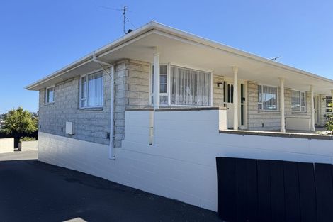 Photo of property in 161a Eglinton Road, Mornington, Dunedin, 9011