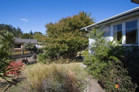Photo of property in 8 Gladstone Road, Waihi, 3610