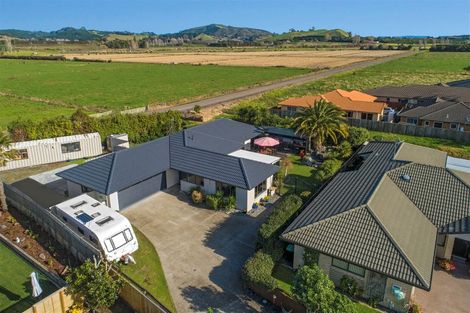 Photo of property in 24 Carribean Place, Papamoa Beach, Papamoa, 3118