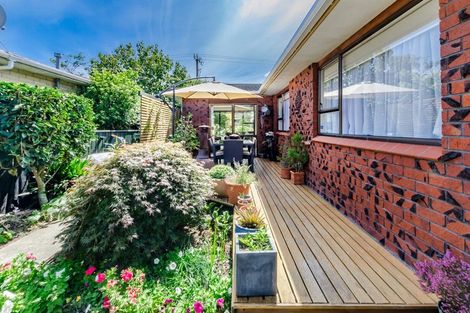 Photo of property in 50 Rimu Street, Waikanae, 5036
