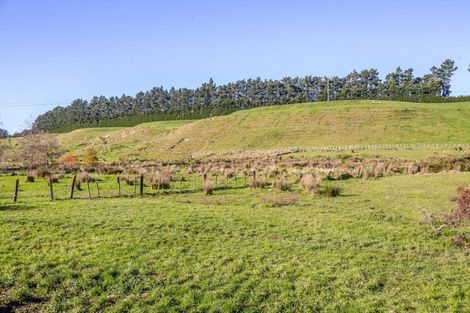 Photo of property in 595 Wards Line, Morison Bush, Greytown, 5794