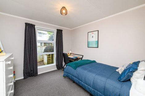 Photo of property in 17 Patea Place, Terrace End, Palmerston North, 4410