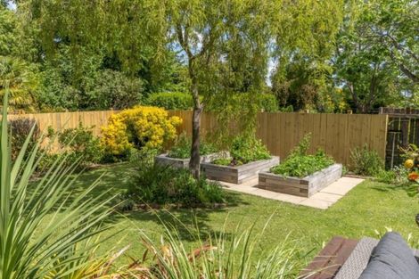 Photo of property in 25 Jordan Terrace, Lansdowne, Masterton, 5810