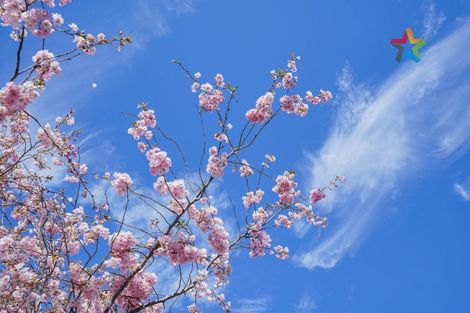 Photo of property in 1 Home Street, Winton, 9720