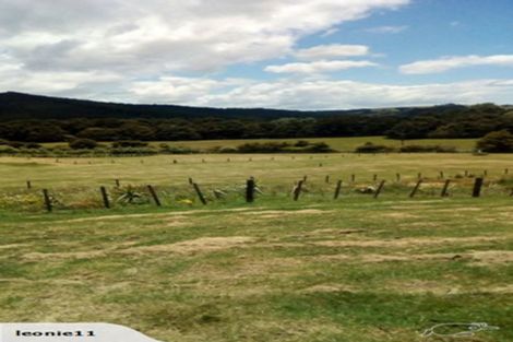 Photo of property in 986 Whangaripo Valley Road, Whangaripo, Wellsford, 0972