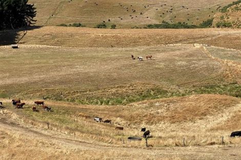 Photo of property in 114 Aorangi Road, Paeroa, 3600