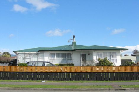 Photo of property in 26 Braemar Street, Levin, 5510