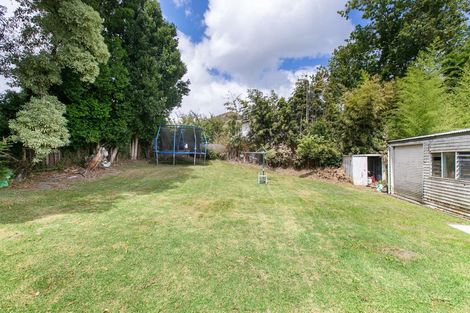 Photo of property in 55 Larissa Avenue, Henderson, Auckland, 0610