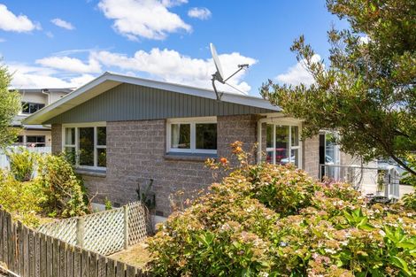 Photo of property in 2/9 Dillon Street, Blenheim, 7201