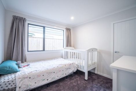 Photo of property in 169 Ruahine Street, Roslyn, Palmerston North, 4414