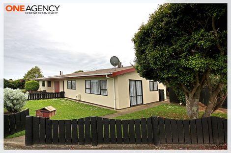 Photo of property in 133 Tiro Tiro Road, Levin, 5510