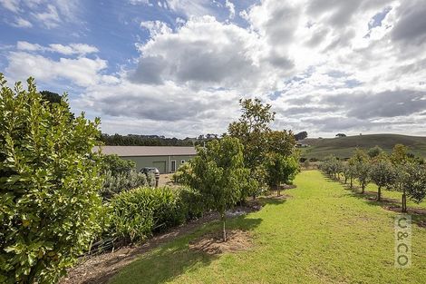 Photo of property in 231 Taiapa Road, Muriwai, Waimauku, 0881