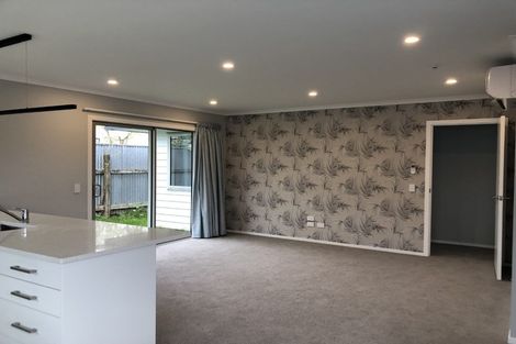 Photo of property in 17a Solway Street, Levin, 5510