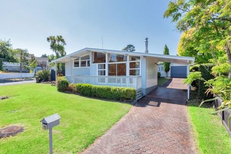 Photo of property in 11 Dellwood Avenue, Henderson, Auckland, 0612