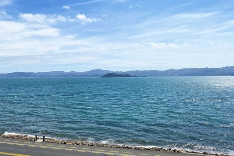 Photo of property in 516 Marine Drive, Sunshine Bay, Lower Hutt, 5013