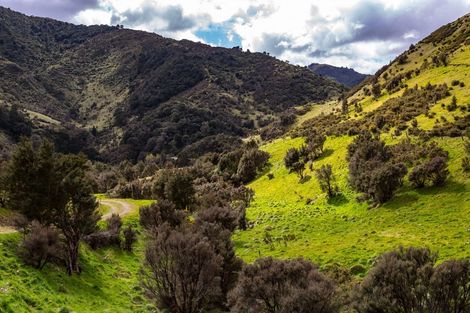 Photo of property in 843 Mangatarere Valley Road, West Taratahi, Carterton, 5791