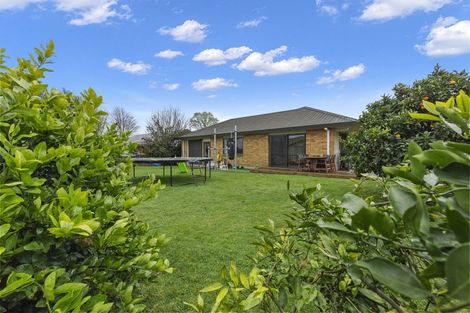 Photo of property in 31a Tower Road, Matamata, 3400