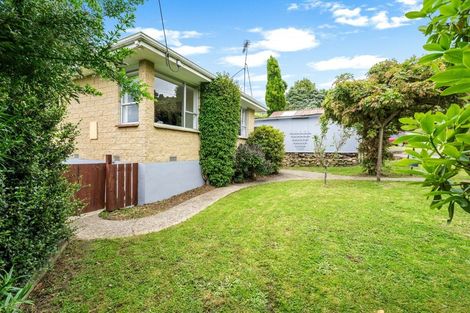 Photo of property in 99 Hall Road, Sawyers Bay, Port Chalmers, 9023